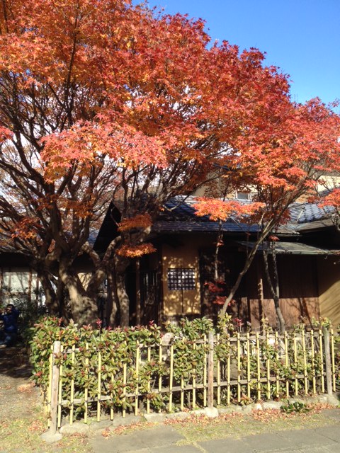画像1 (2)