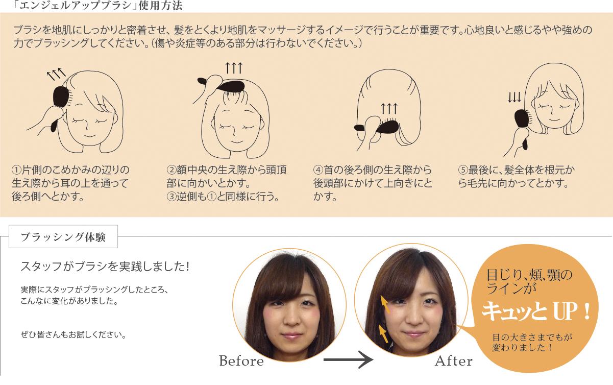 Angelup Brush エンジェルアップブラシ 株式会社ニシカワ Nishikawa Co Ltd Angelup Brush エンジェルアップブラシ 株式会社ニシカワ Nishikawa Co Ltd